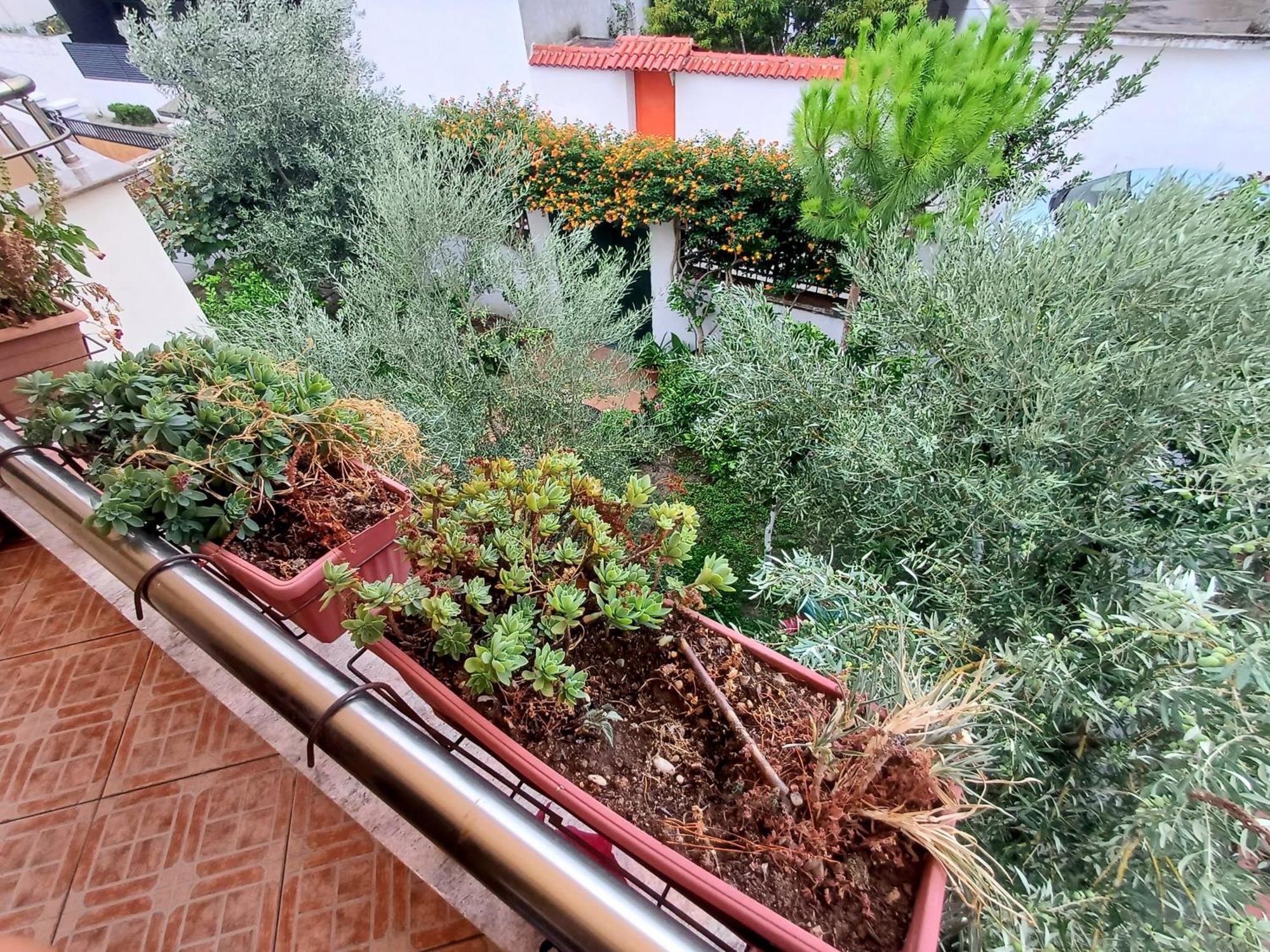Guest Room Near Historical Center Vlore Ngoại thất bức ảnh